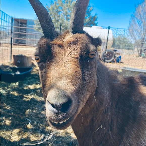 ❤️ OUR SHIP TIMES‼️ PLEASE NOTE‼️❤️ - Picture 11 of 16